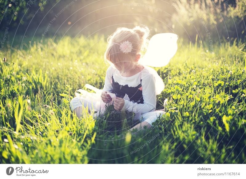 fairy summer Human being Feminine Child Girl Infancy 1 3 - 8 years Environment Nature Plant Summer Beautiful weather Meadow Field Think Discover Relaxation