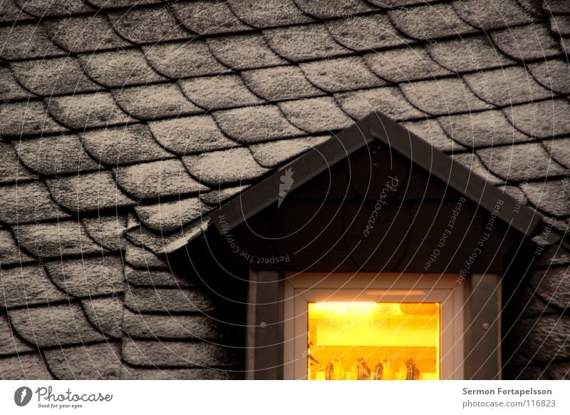 the roof opposite Roof House (Residential Structure) Window Dormer Light Roofing tile Cover Winter Cold Hoar frost Cup Kitchen Building Flat (apartment)
