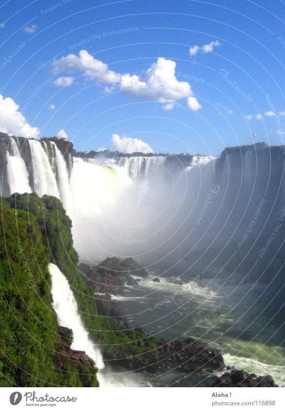 "Poor Niagara!"  I Current Slope Brazil Argentina Art Torrents of water Plant Body of water Tourism Tree Clouds Horizon Drops of water Tourist White crest Fog