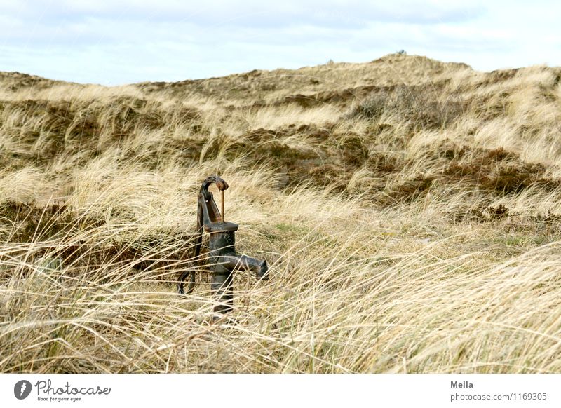 Water Environment Nature Landscape Grass Marram grass Hill Dune Steppe Water pump Well Old Simple Dry Survive Transience Drought Old times Colour photo