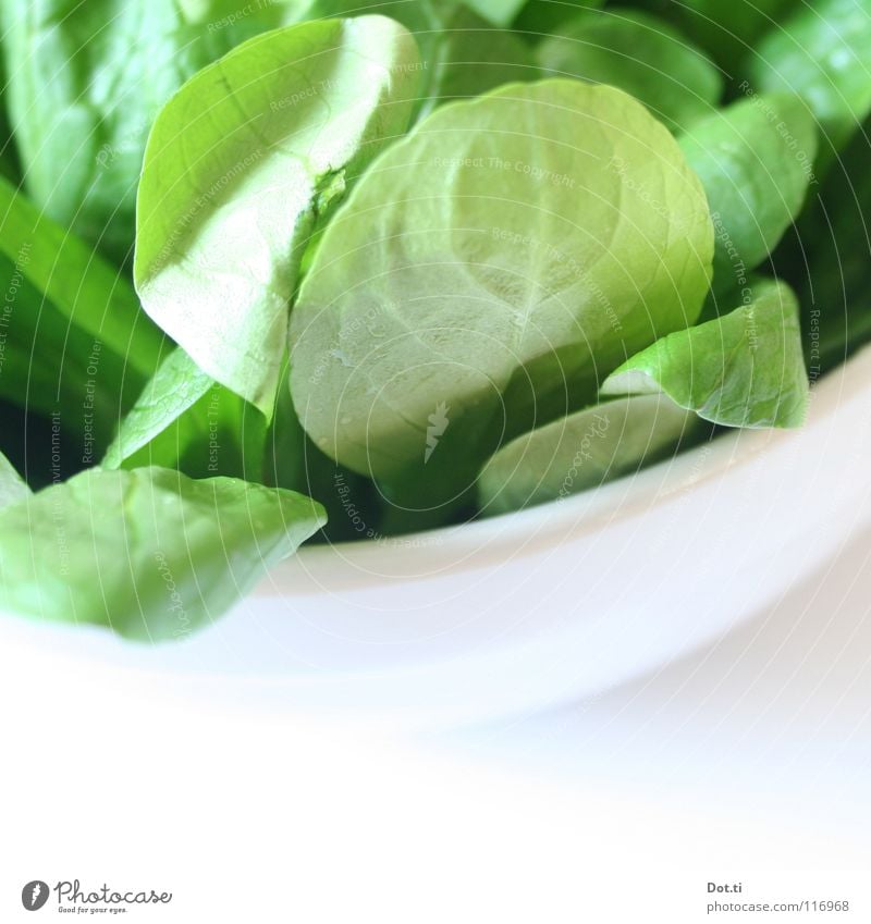 100 g 2,99 € Food Lettuce Salad Nutrition Organic produce Vegetarian diet Diet Crockery Bowl Healthy Fresh Bright Delicious Green White Appetite Quality