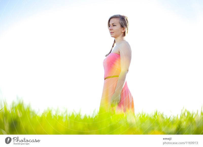 summer meadow Feminine Young woman Youth (Young adults) 1 Human being 18 - 30 years Adults Environment Nature Summer Beautiful weather Meadow Natural