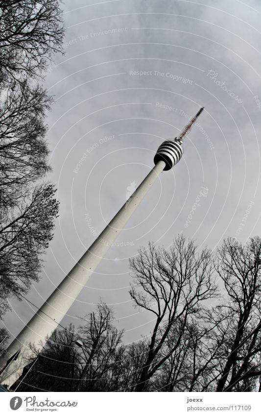 leaning tower Antenna Tree Manmade structures Dark Radio technology Gray Large Long Media Broadcasting tower Transmit Radiation Stuttgart Environment Landmark