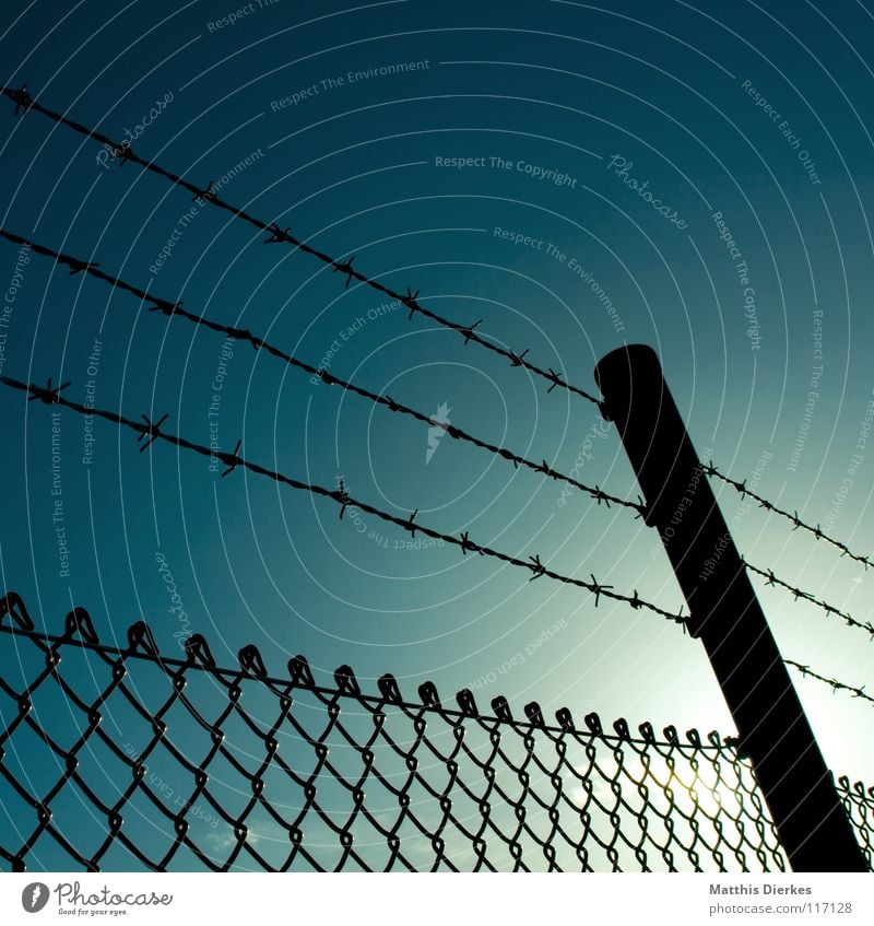 fence Fence Barrier Fence post Wire netting Barbed wire Barbed wire fence Wire netting fence Back-light Dangerous Border Concentration camp Captured Cage War