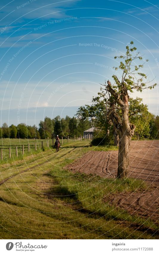 Ride into spring Human being 1 Nature Landscape Sky Clouds Spring Beautiful weather Plant Tree Grass Field Footpath Lanes & trails Relaxation Natural Blue Brown
