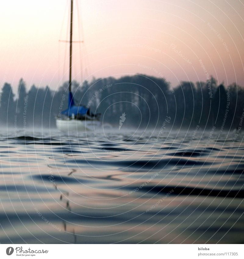 Sailing boat in gentle waves on the lake. Sailboat Water Waves Surface of water Lake mirror Weigh Liquid chill Deep Forest Fog Moody Untouched Harmonious Winter