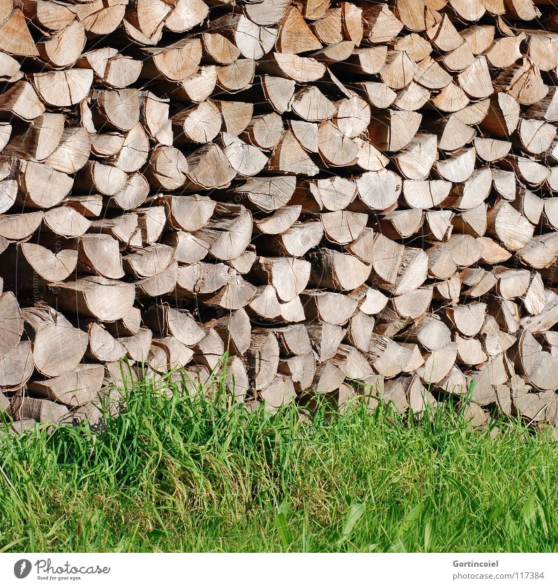 chimney lining Garden Energy industry Warmth Grass Meadow Wood Warm-heartedness Stack of wood Firewood Heat Fuel Colour photo Pattern Structures and shapes