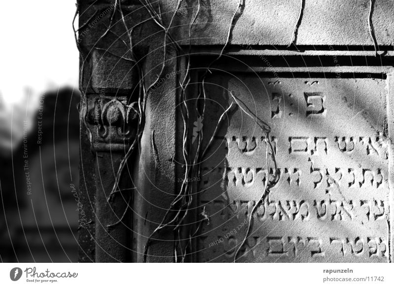 And the sun on my grave ... Judaism Cemetery Grave Tomb Tombstone Inscription Historic Decoration Sun Light (Natural Phenomenon) Shadow Deserted Detail Stone