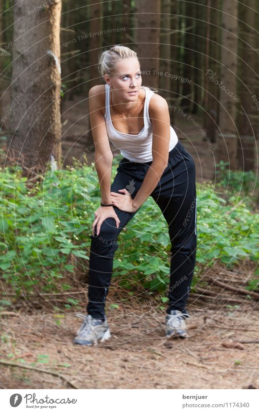 forest glance Sports Fitness Sports Training Sportsperson Jogging Human being Young woman Youth (Young adults) Life 1 18 - 30 years Adults Nature Plant Earth