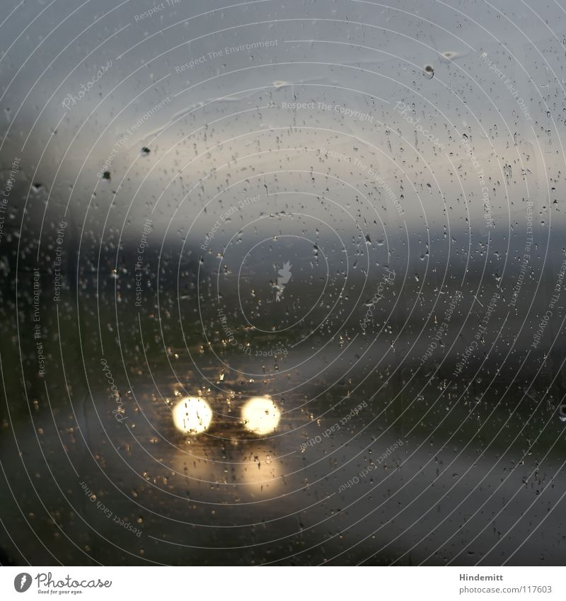 Control view while kissing Meadow Vehicle Light Windscreen Window pane Driver Rain Bad weather Wet Reflection Dark Autumn Winter Cold Dimmed beam Blur Bright