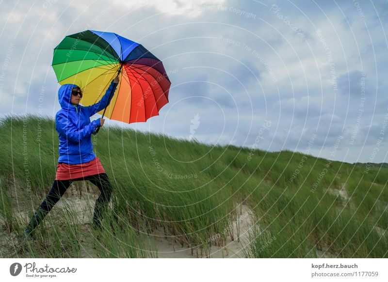 nice weather today Joy Vacation & Travel Human being Feminine Woman Adults Life 1 Bad weather Wind Gale Meadow Umbrella Rain jacket To hold on Trashy