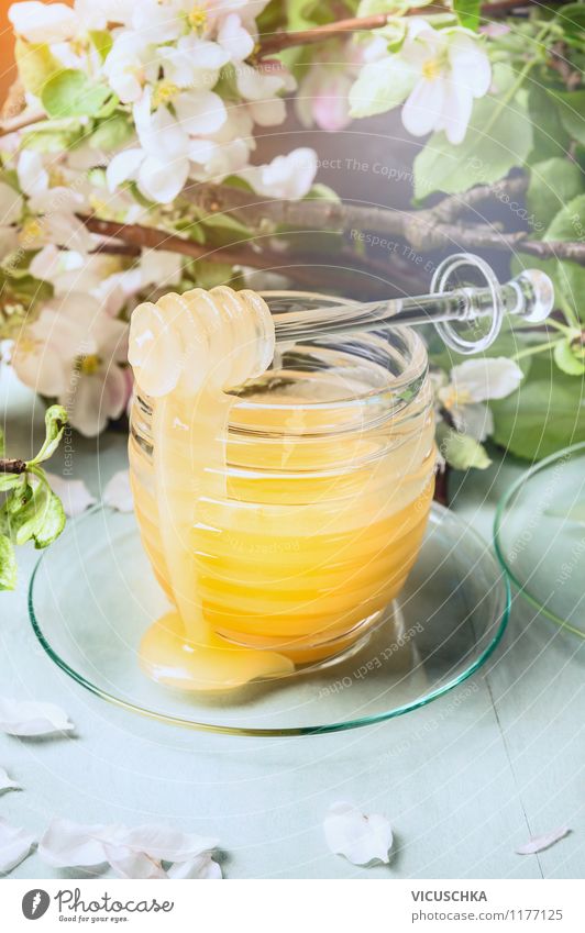 Spring honey with fresh fruit tree blossoms. Food Dessert Candy Nutrition Organic produce Vegetarian diet Diet Glass Life Design Style Honey
