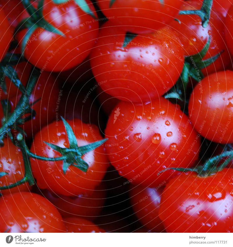 tomato case Kitchen Cooking Ingredients Fresh Agriculture Summer Healthy Plant Vegetable Vegetarian diet Macro (Extreme close-up) Close-up Tomato Nutrition