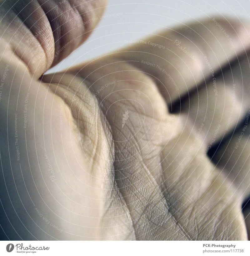 craft Hand Palm of the hand Pore Fingers Thumb Invitation Handshake Trust Furrow Skin Wrinkles Old