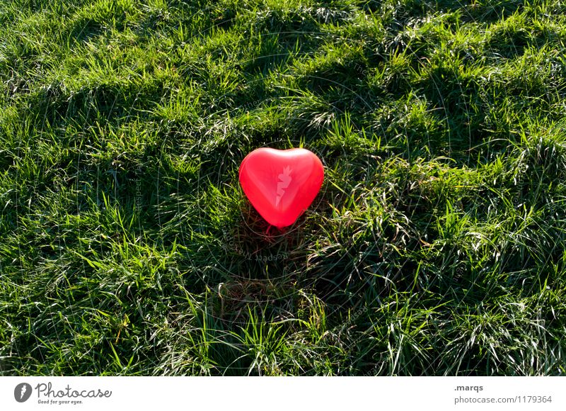 Free Love Nature Meadow Heart Green Red Emotions Joie de vivre (Vitality) Infatuation Romance Relationship Love affair Center point Colour photo Exterior shot