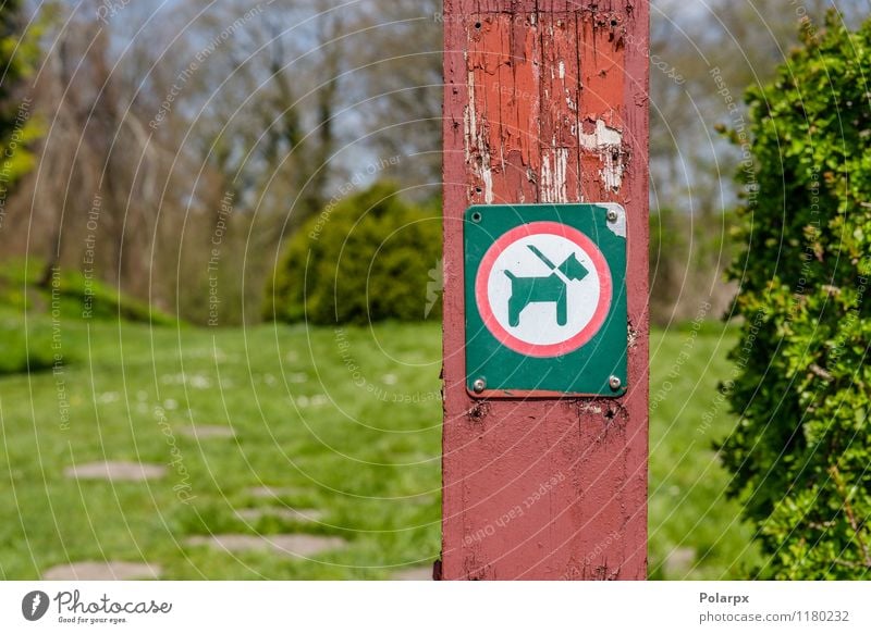 Dog in a leash sign Animal Park Lanes & trails Pet Signage Warning sign Clean Red Black White Safety Caution Pole Leash warning Symbols and metaphors Notice
