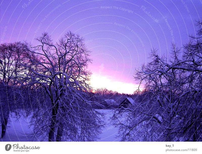 Nordic Winter Twilight Sunrise Morning Sunset Cold Snow North Dawn norderstedt Lower Saxony