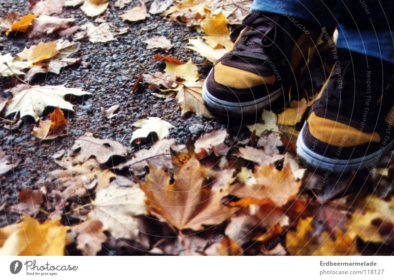 CAMOUFLAGE Autumn Leaf Multicoloured Footwear Calm orange tones close-up