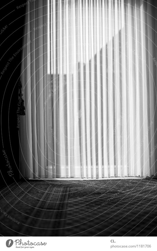 curtain Living or residing Flat (apartment) Decoration Room Window Curtain Carpet Calm Sadness Loneliness Boredom Black & white photo Interior shot Deserted Day