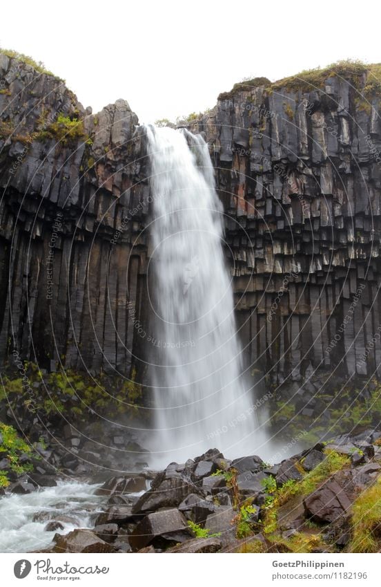 Svartifoss waterfall iceland Landscape Water Drops of water Rock Landmark Stone Observe Touch To fall Esthetic Dark Sharp-edged Fantastic Gigantic Beautiful