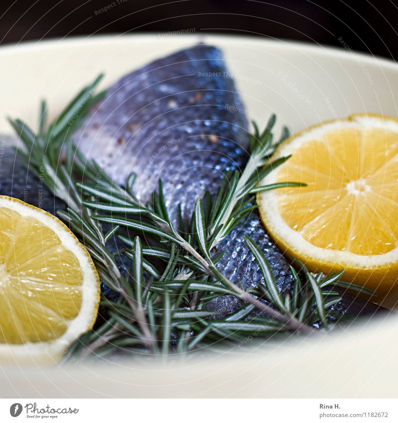 FreshFish Herbs and spices Lemon Nutrition Bowl Authentic Delicious To enjoy Rosemary Raw BBQ season Colour photo Deserted Copy Space top Copy Space bottom