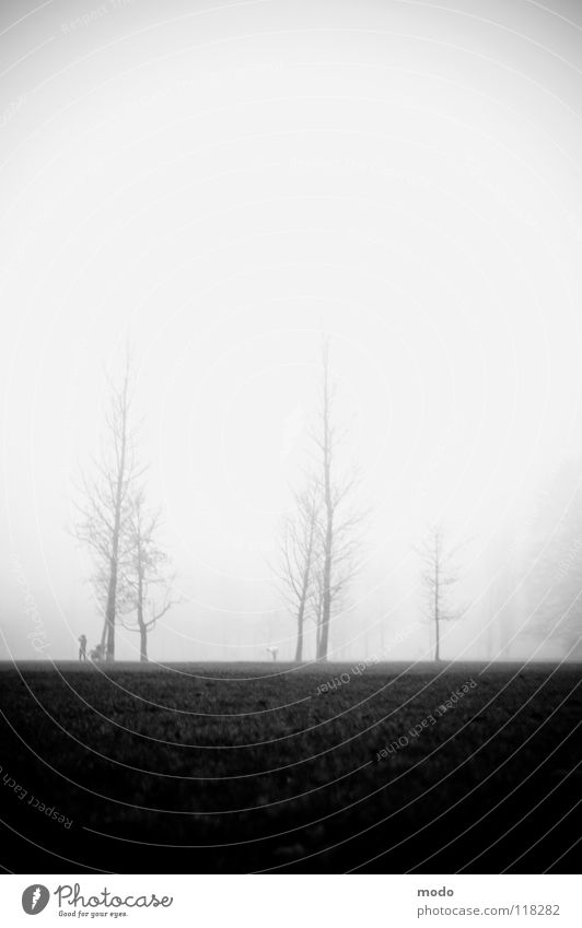 fog Fog The Englischer Garten Grief Tree Meadow Clouds Winter Autumn Human being Lawn Walking Tall