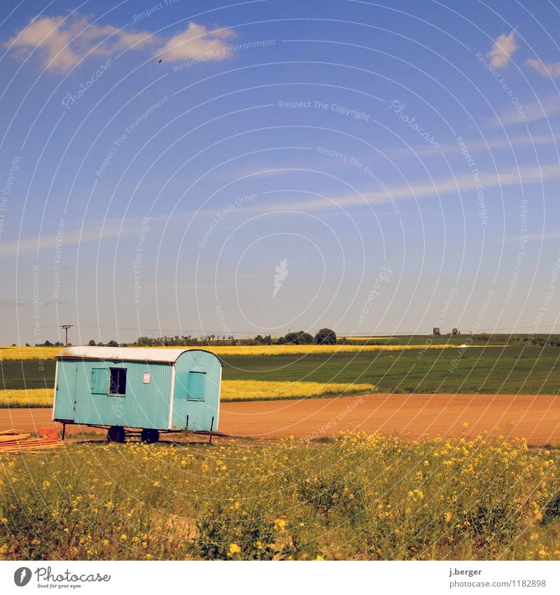 Make blue Construction site Nature Landscape Plant Sky Spring Weather Beautiful weather Field Blue Brown Yellow Green building shack Site trailer Canola field