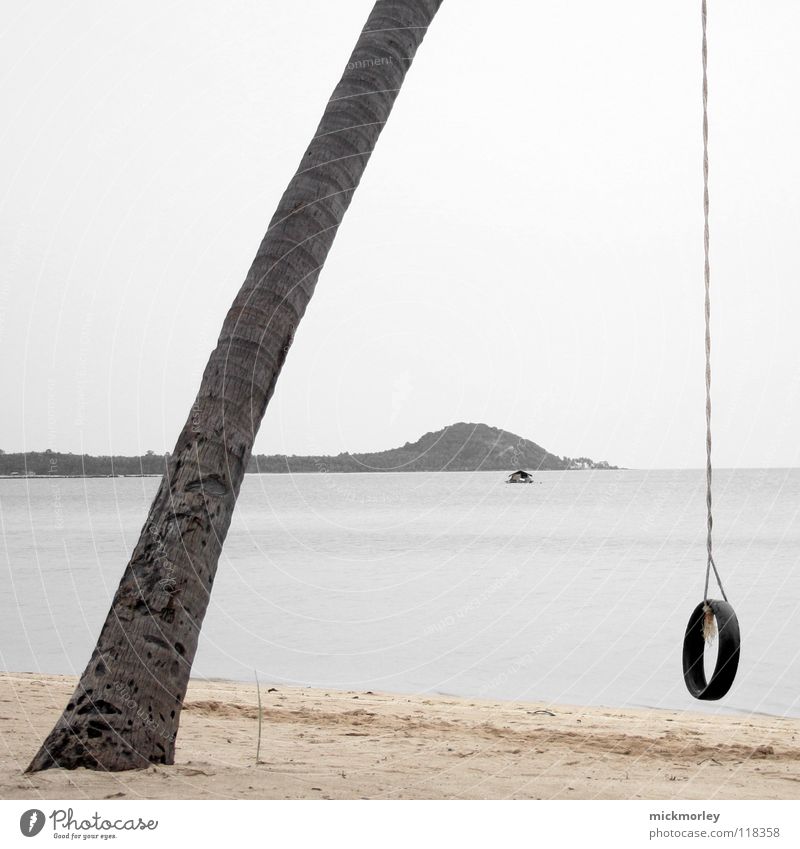palm swing Thailand Palm tree Beach Ocean House (Residential Structure) Vacation & Travel Rubber Tree Playing Loneliness Asia Island Rope String holiday sea