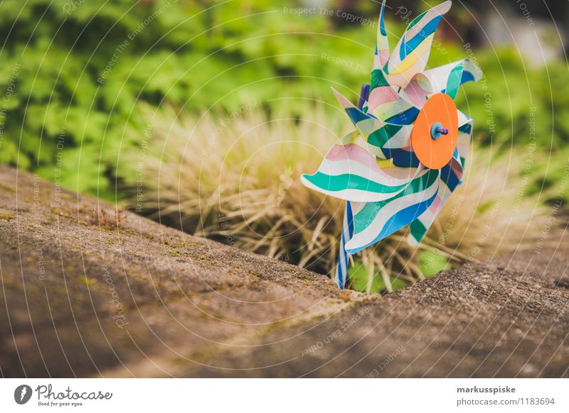 windmill Playing Garden Education Kindergarten Toys Pinwheel Multicoloured Statue Rotate Rotation Blow Infancy Colour photo Exterior shot Deserted