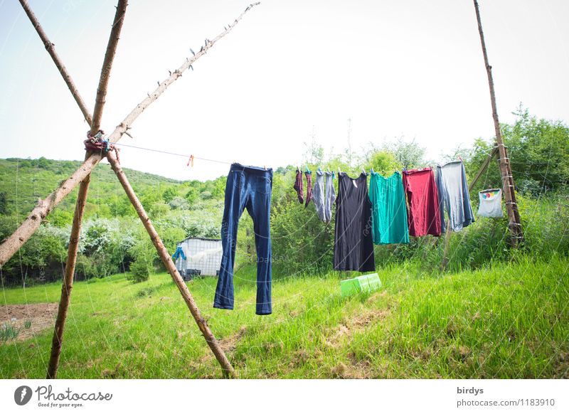 The laundry dries in the sun, the... Lifestyle Nature Landscape Sky Spring Summer Beautiful weather Bushes Meadow Forest Hill Jeans Dress Stockings Clothesline