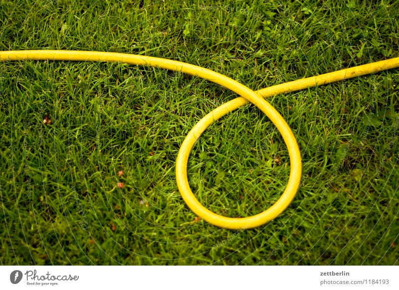 hose Spring Garden Garden plot Grass Lawn Grass surface Meadow Hose Garden hose Irrigation Plant Lawn sprinkler Cast Yellow Loop Spiral Whorl Circle Round Curve