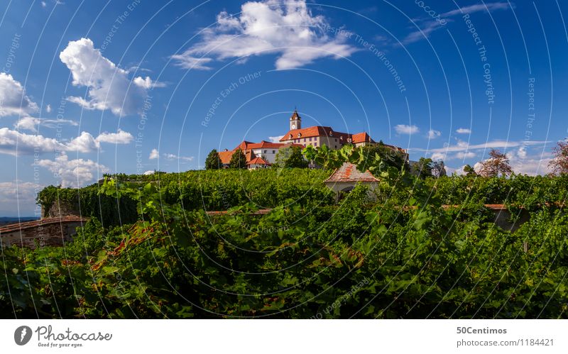 The Riegersburg Castle Vacation & Travel Tourism Trip Adventure Far-off places Sightseeing City trip Summer Summer vacation Sun Hiking Nature Landscape Sky