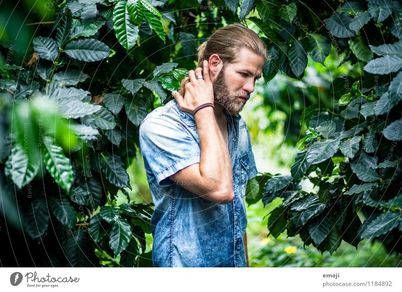 jungle Human being Masculine Young man Youth (Young adults) Adults 1 18 - 30 years Environment Nature Summer Long-haired Facial hair Beautiful Natural Green