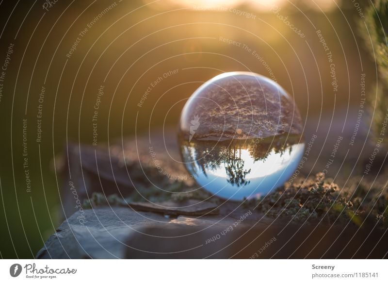 Worlds #2 Nature Landscape Plant Sunrise Sunset Spring Summer Beautiful weather Meadow Field Glass ball Crystal ball Stone Round Serene Patient Idyll
