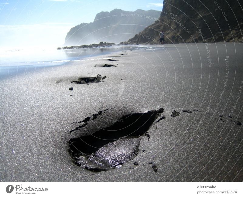 Piha Beach Footprint Ocean New Zealand Coast Earth Sand piha Karekars northland Barefoot