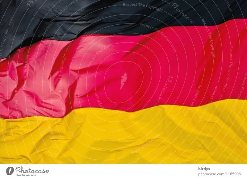 Rich in contrast Germany Sign Stripe Flag Esthetic Elegant Positive Gold Red Black Colour Identity Politics and state German Flag full-frame image Folds