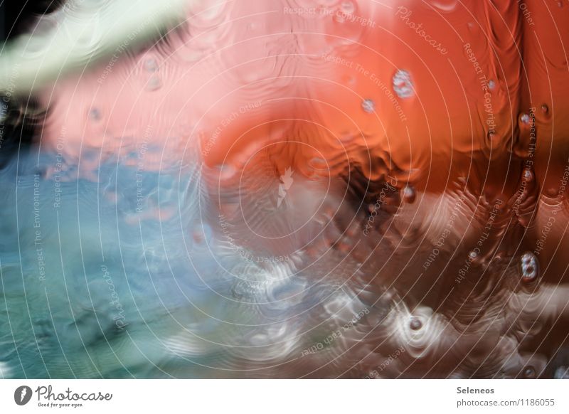 This ain't no weather. Weather Rain Drop Fresh Wet Natural Blur Colour photo Abstract Pattern Copy Space left Copy Space right Copy Space top Copy Space bottom