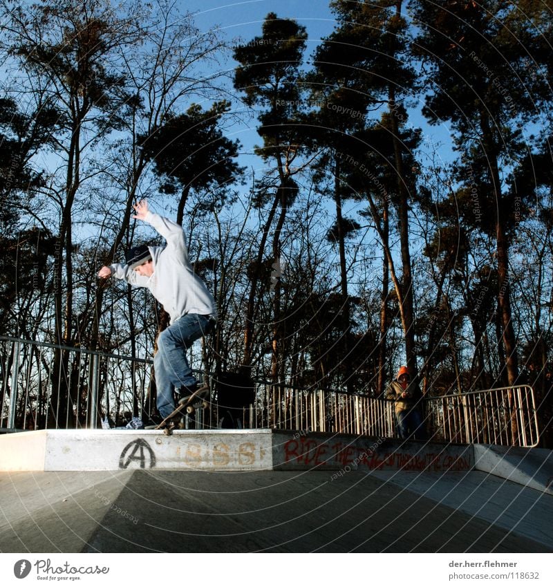 nosegrind Skateboarding Sweater Sports ground Back-light Grind Contentment Tree Park Broken Playing funbox Shadow Individual