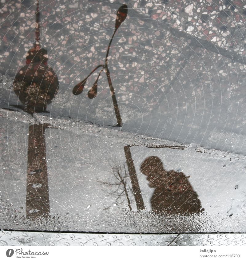puddle photo weather Transmitting station Puddle Reflection Man Curbstone Human being Berlin Berlin TV Tower Water puddle Silhouette Lamp post Pedestrian