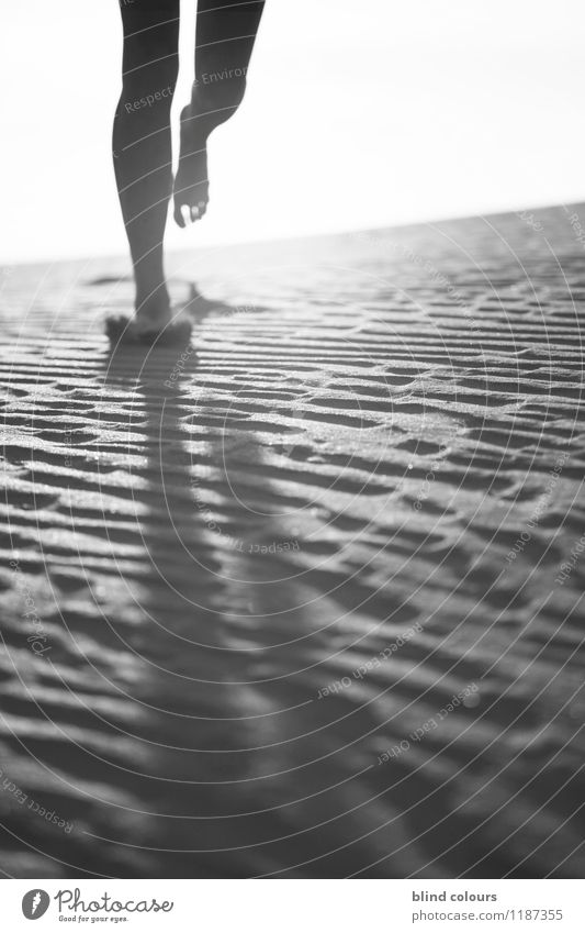 déchaux Art Esthetic Contentment Running sports Walking Jogging Legs Feet Barefoot Sand Emotions Touch Desert Movement Dynamics Woman's leg Decent