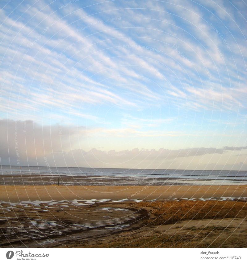 geniusbeach Ocean Beach Clouds Grass Green Sun Mud flats Slick Wilhlemshaven Winter Coast Sky North Sea Wind Blue Clarity Sand