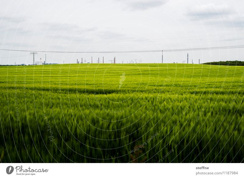 Nature and technology Skyline Work and employment Swedish Uckermark Refinery Chimney Industry Chemical Industry Field Grain field Spring Colour photo