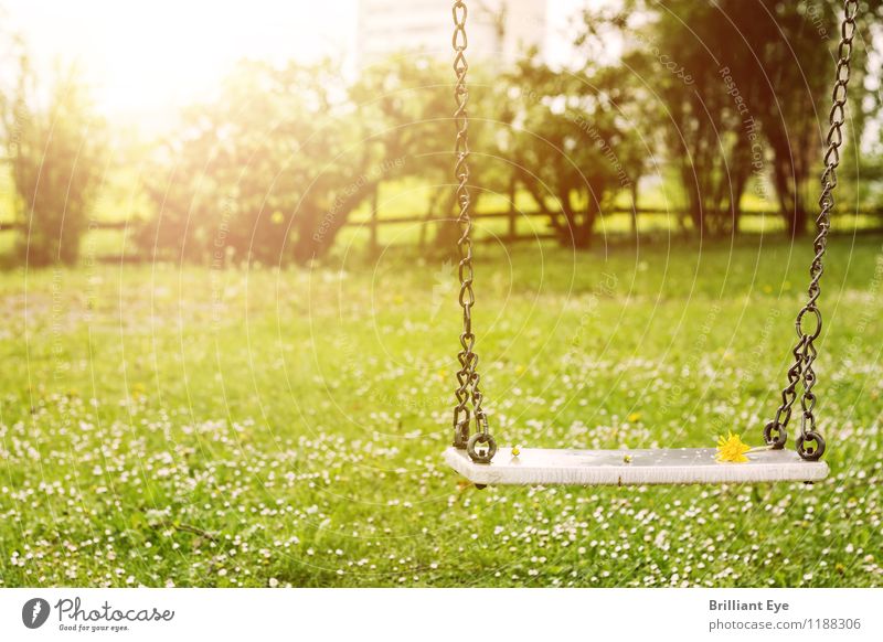 Swing in the spring rays Lifestyle Playing Freedom Environment Nature Landscape Plant Sun Sunlight Spring Climate Weather Beautiful weather Flower Foliage plant