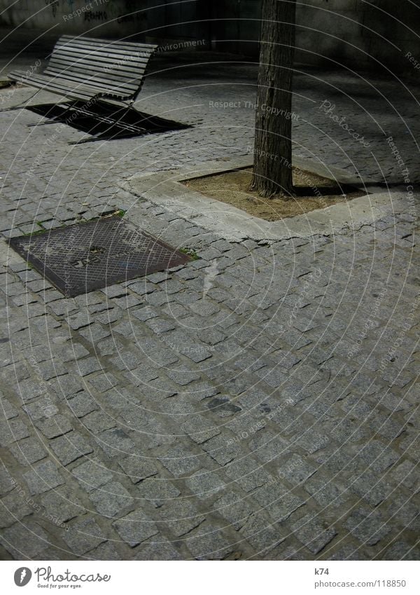 Barcelona Harbour Gray Night Cobblestones Tree Empty Hard Calm Loneliness Exterior shot Bench Sadness