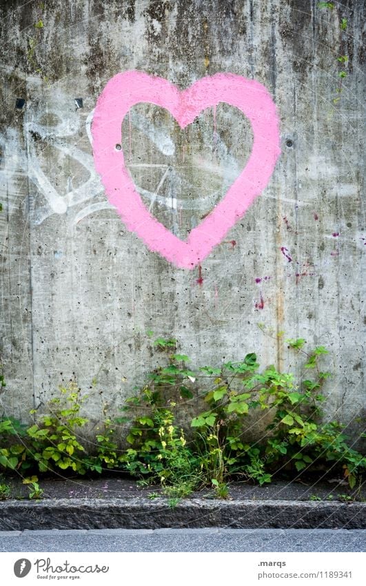 heart Style Bushes Wall (barrier) Wall (building) Street Sign Graffiti Heart Simple Beautiful Gray Pink Love Infatuation Relationship Colour photo Exterior shot