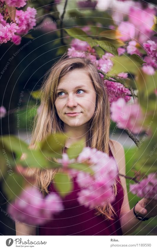 Spring portrait. Human being Feminine Young woman Youth (Young adults) Woman Adults Face 1 13 - 18 years Child 18 - 30 years Environment Nature Plant Summer