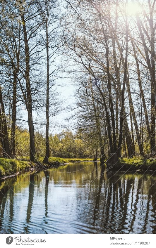 Spreewald Environment Nature Landscape Water Climate Weather Beautiful weather River bank Spring Waves Sun Colour photo Exterior shot Deserted