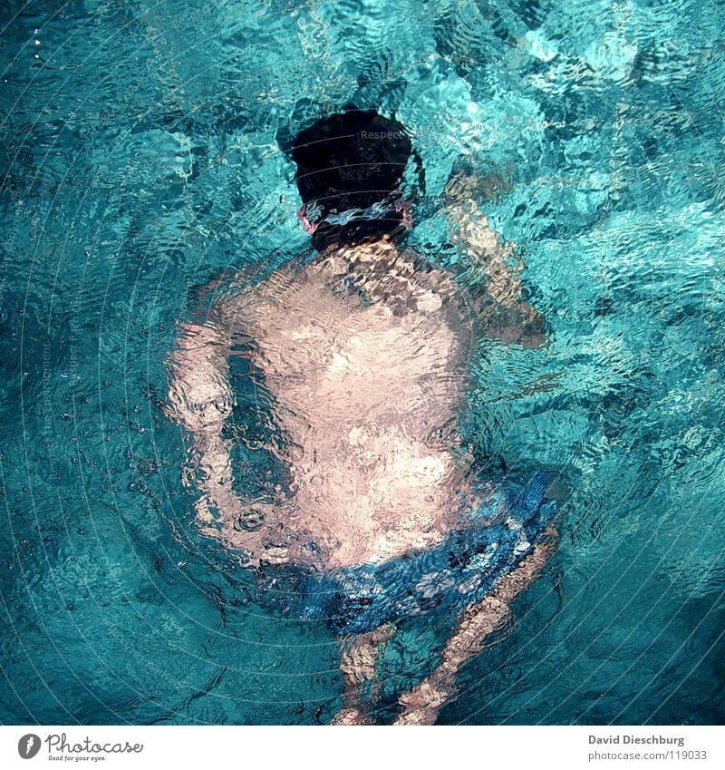 The last one the sharks bite Swimming & Bathing Dive Surface of water Whirlpool Turquoise 1 Person Swimming pool Bird's-eye view Rear view Mens back Individual