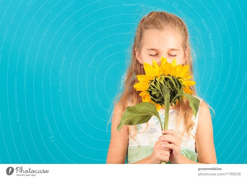 Smell of summer Beautiful Summer Child Girl 8 - 13 years Infancy Blossom Blonde Small Blue cheerful closed eyes Horizontal one spring Sunflower young smell