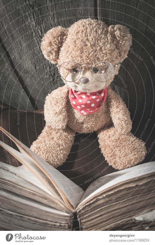 Children teddy bear Joy Illness Leisure and hobbies Reading Human being Girl Infancy Book Animal Toys Teddy bear Smiling Sit Small Cute Soft Brown White Bear